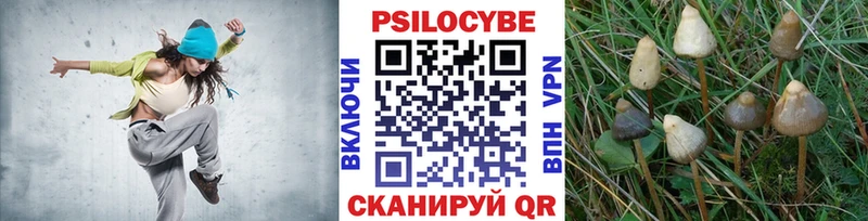 Псилоцибиновые грибы Cubensis  Купить где  Радужный 